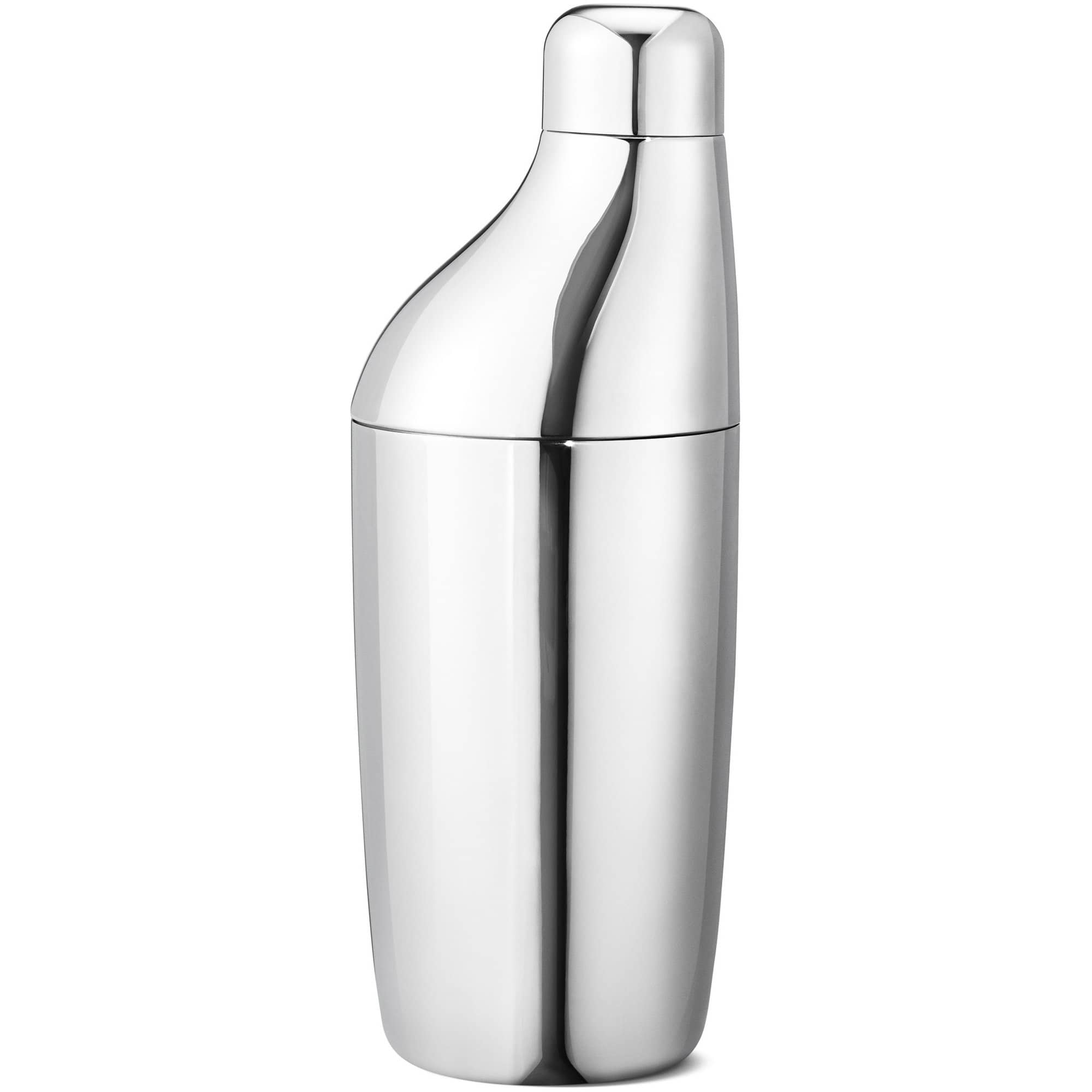 Sky Cocktail Shaker