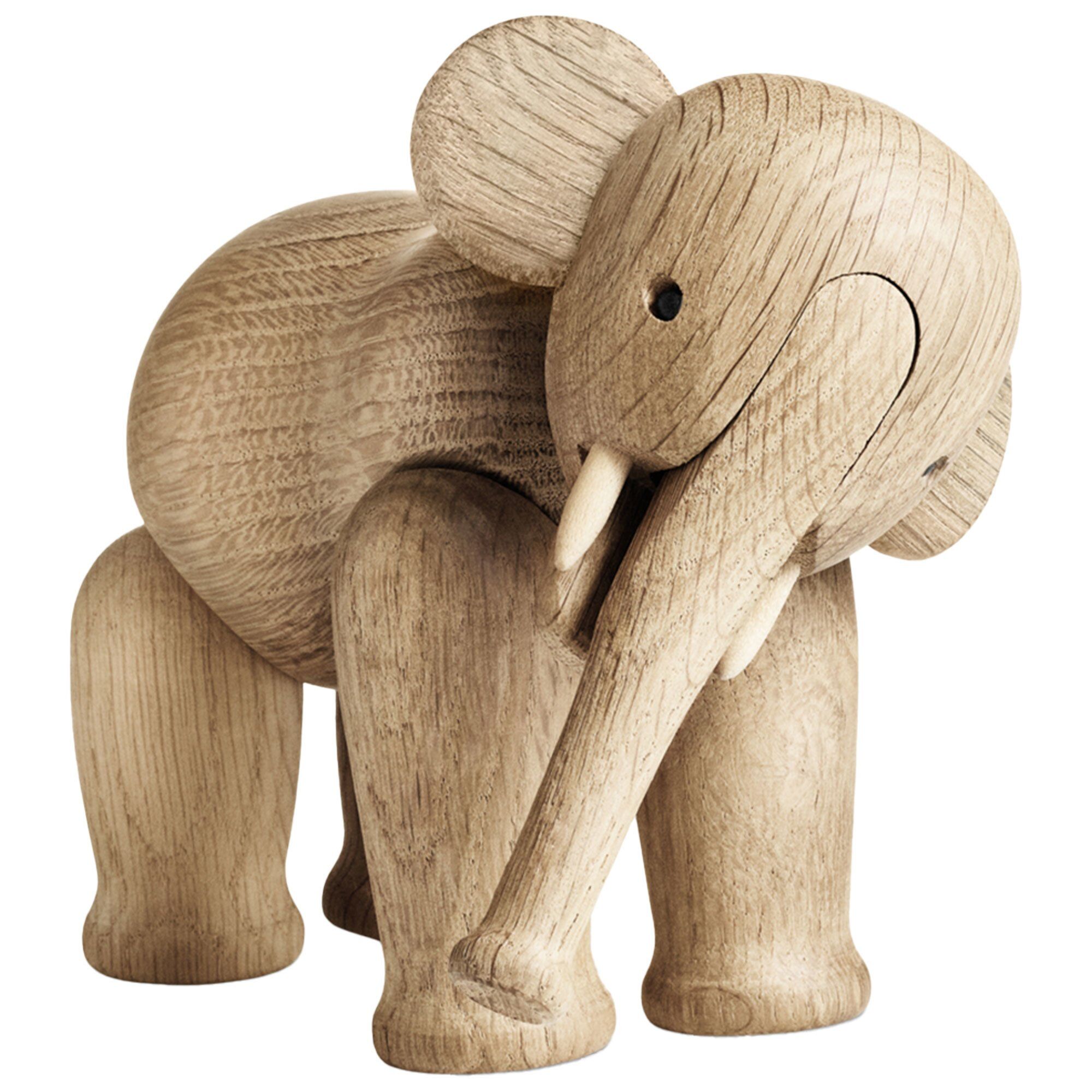 Liliput elefant, eik