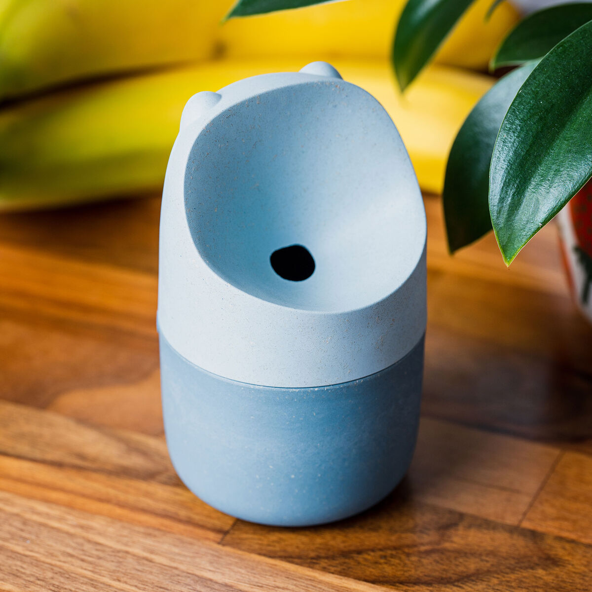 Konna bananflugefälla, lake blue