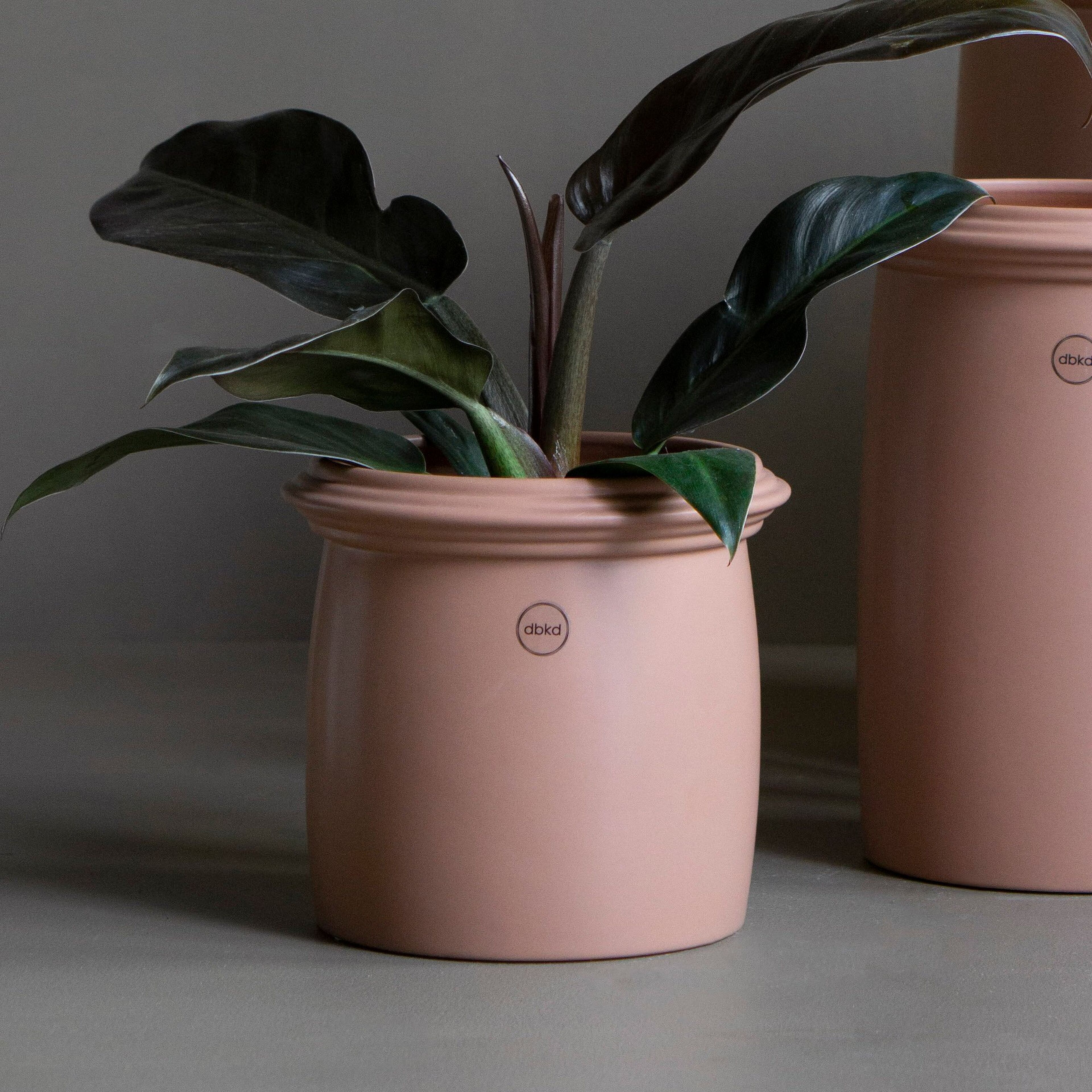 dbkd-kruset-krukke-small-apricot-20210801a-54443-2