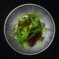 Aperitivo skål, 2 stk.