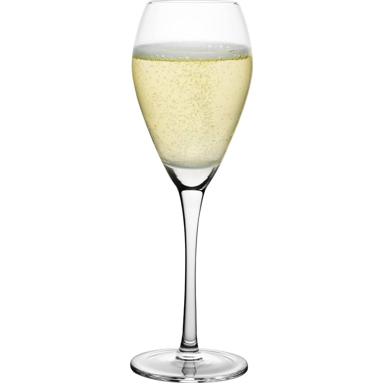 Champagneglas 16 cl, 8-pack