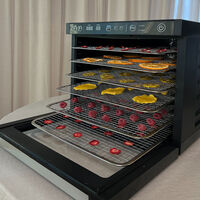 NOD Dehydrator Pro med nonstick-matter