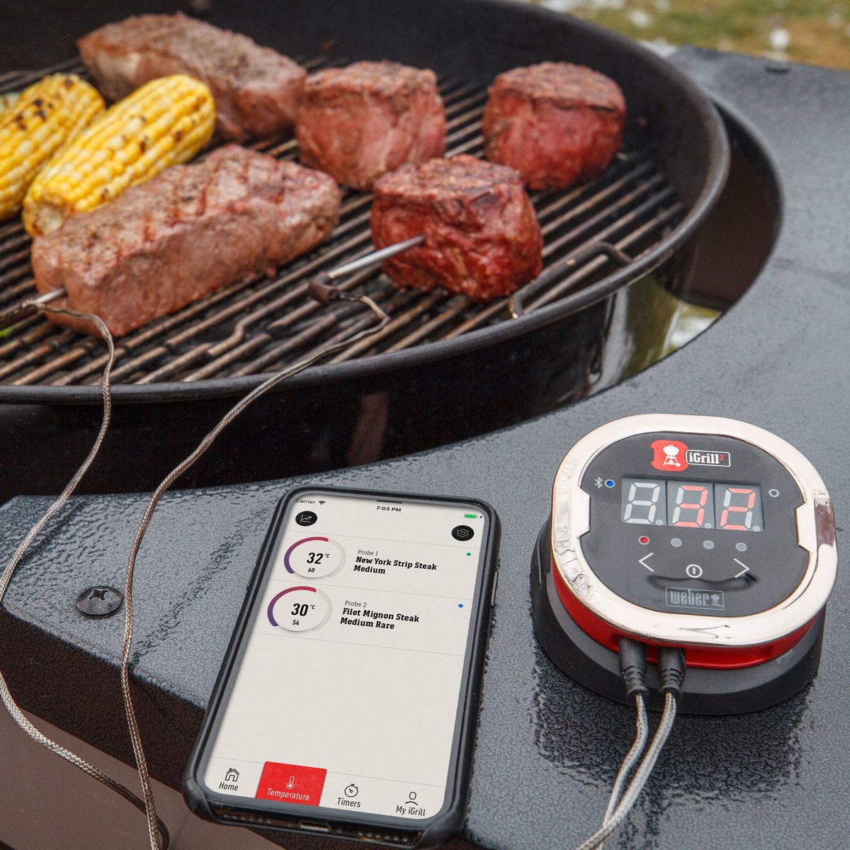 iGrill 2 stegetermometer