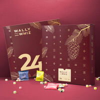 Wally and Whiz Julekalender 2025, rød