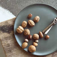 Tallrik 23 cm Northern green