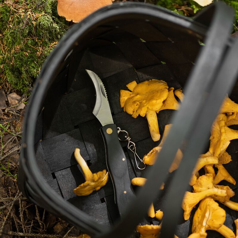 Svampkniv med borste