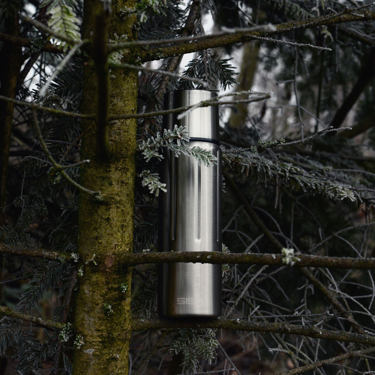 SIGG Gemstone IBT termoflaske 0,75 liter, selenite