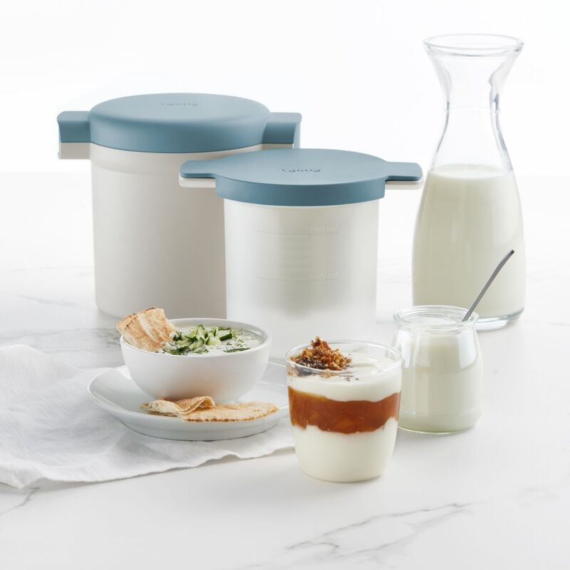 Kefir & Yoghurt Maker, valkoinen/sininen