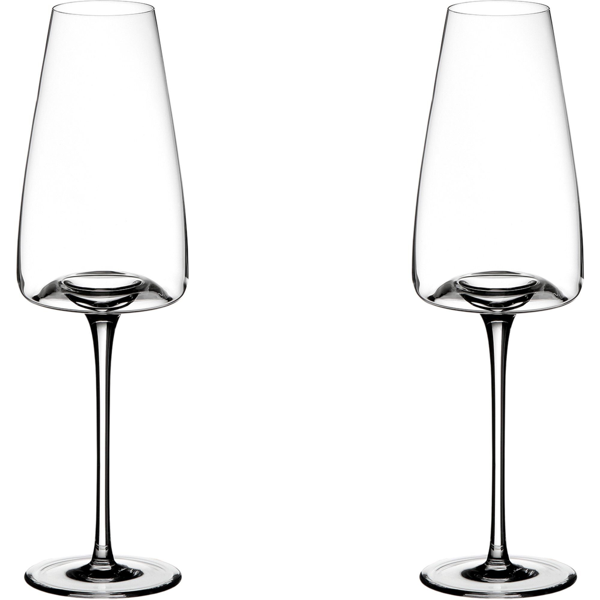 Zieher - Vision vinglass rich 2 stk
