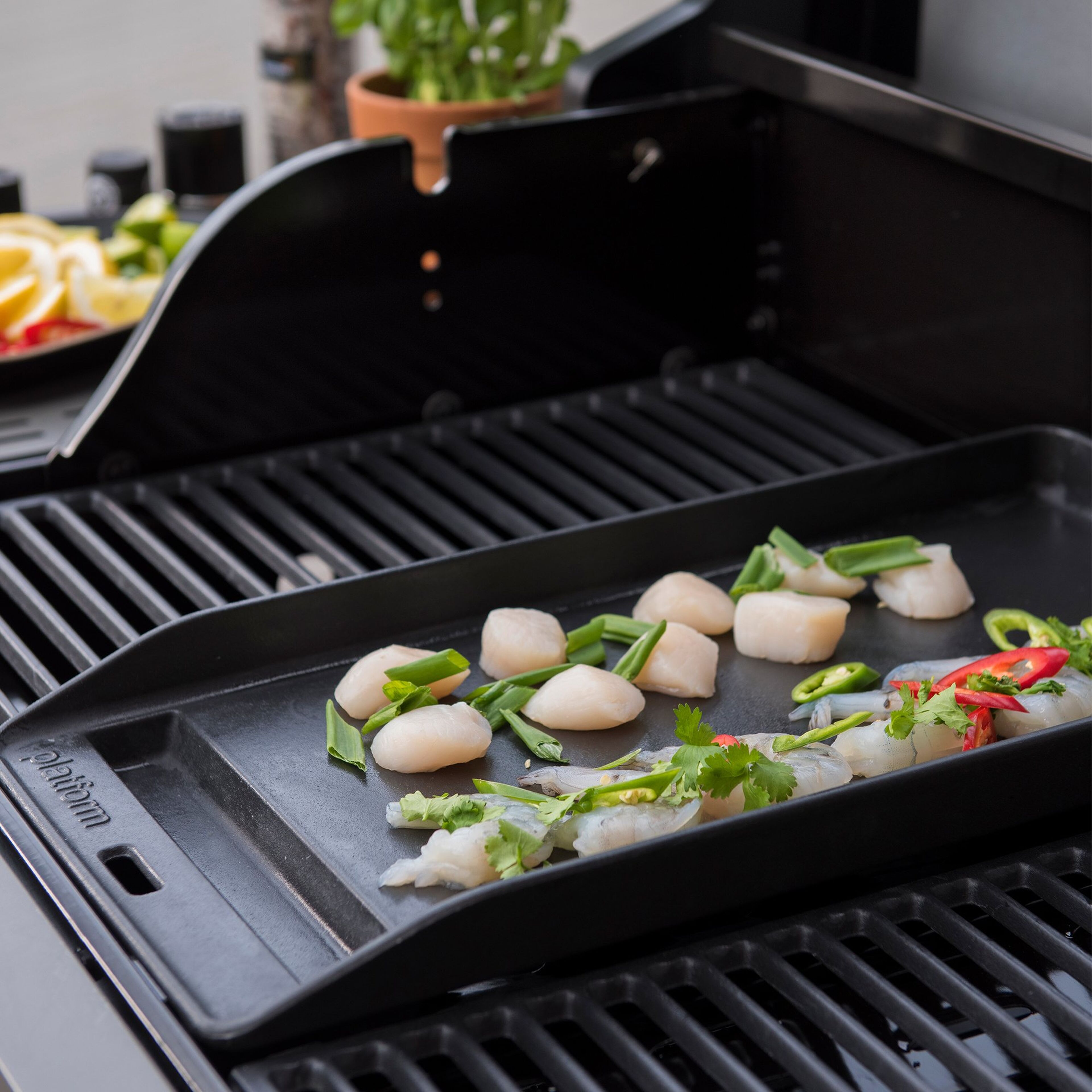 mustang-sapphire-plancha-stegeplade-24-x-47-5-cm-stoebejern-325431-60565-2