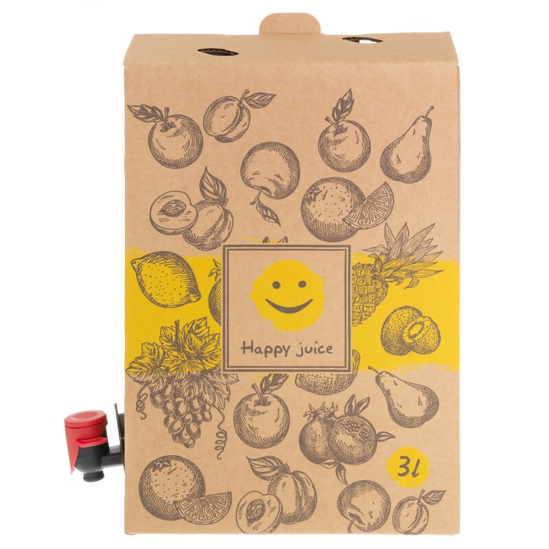 Bag In Box -pussi hanalla 3 litraa, 4-pakkaus