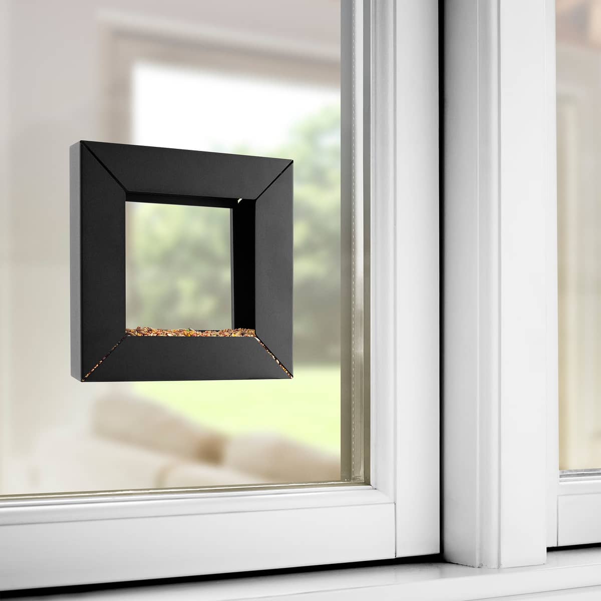 Frame Lintulauta