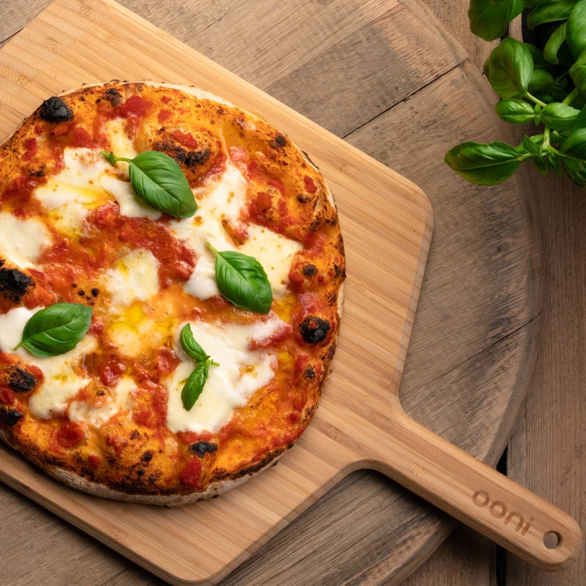 Bambupuinen Karu 16 -Bambupuinen Karu 16 -pizzalapio