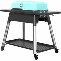 Furnace gasolgrill + rotisserie, matt mint