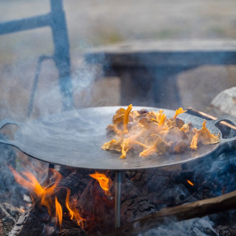 Stekhäll med ben, 38 cm.