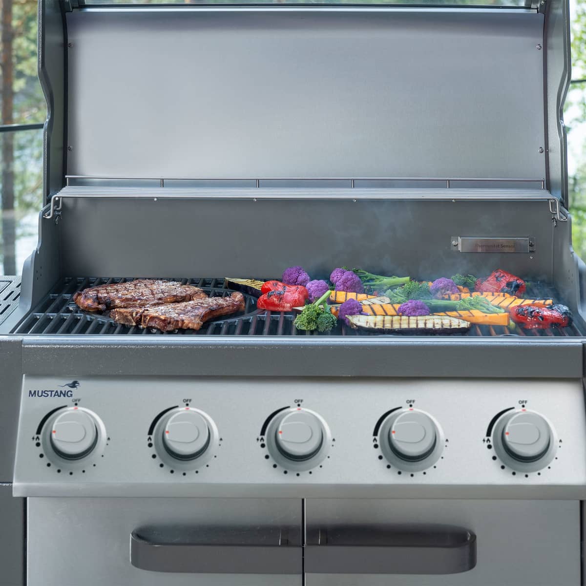 Charleston S 5+1 gasolgrill