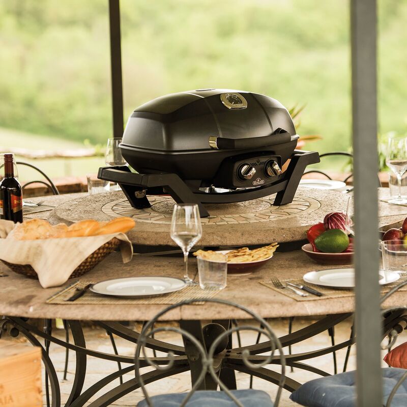 PRO285 Gasolgrill bärbar