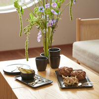 RAW suorakulmainen lautanen, 23,5 x 15 cm, titanium black