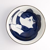 Kawaii Cat Neko ramenskål 20 cm, vit/blå