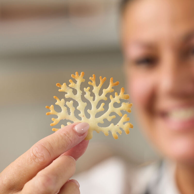 Blomsterbergs Træ tuileform, silikone