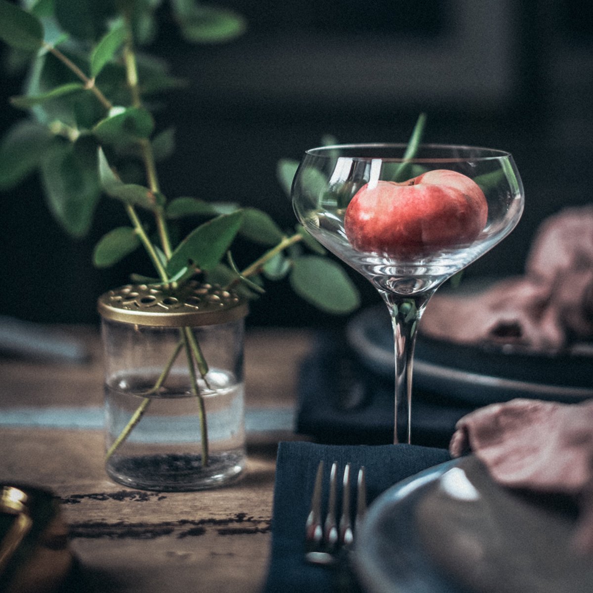 More Champagne Coupe 21 cl 4-pakning