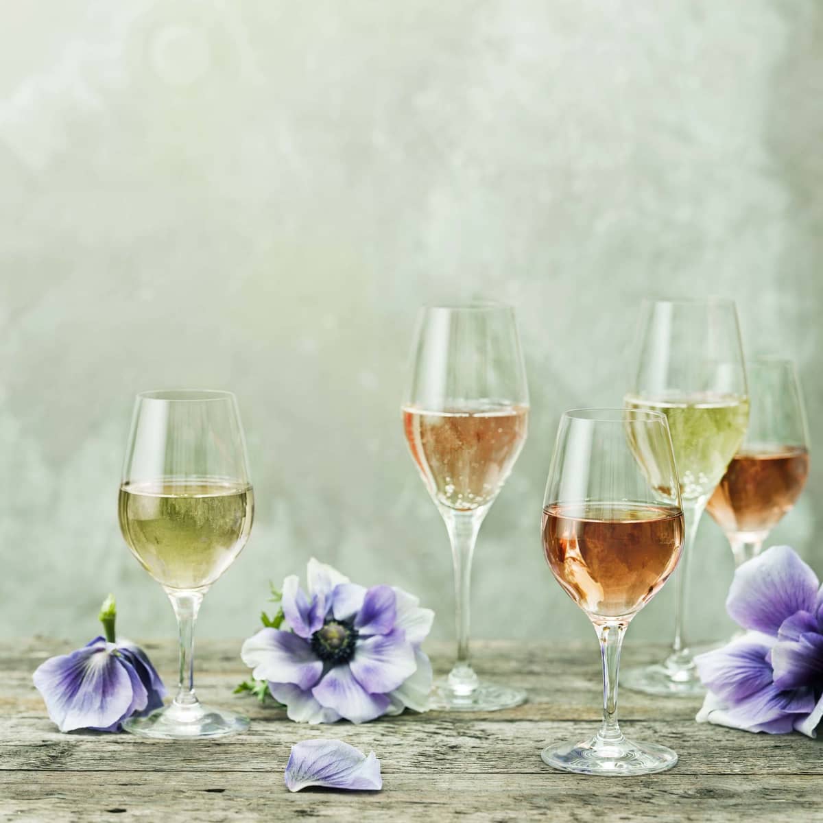 Sense Champagneglass 25,5 cl, 6-pk