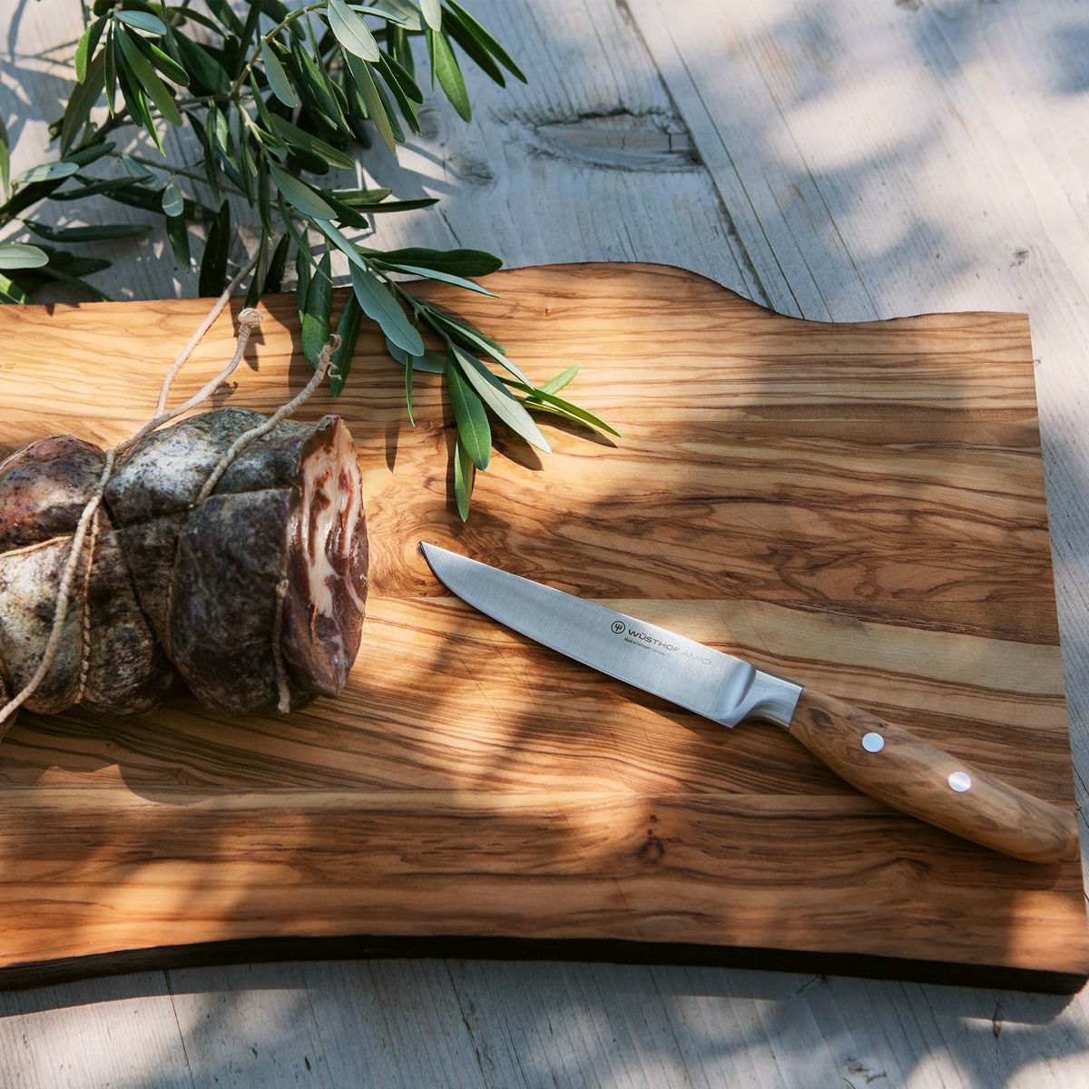 AMICI Steak Kniv 12 cm, Oliventre