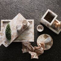 Vita suola-astia, seashell