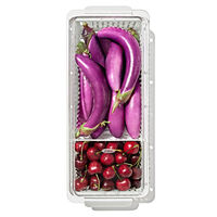 OXO Produce Saver grønnsaksbeholder (lang)