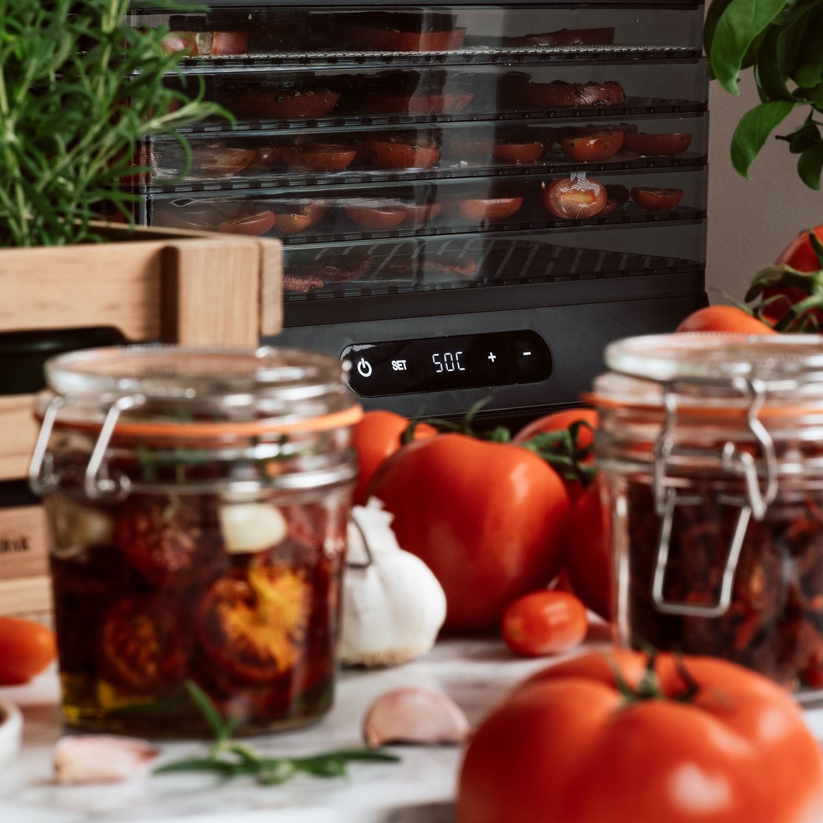 Dehydrator-kuivuri, 5 tasoa