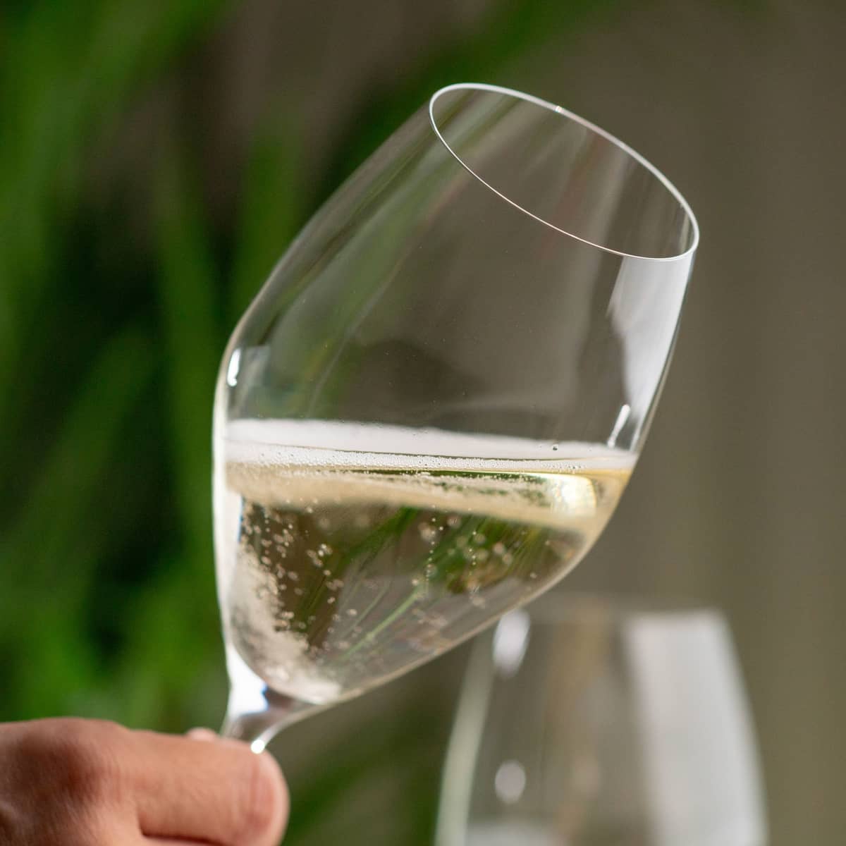 Performance champagneglass 4-pakning