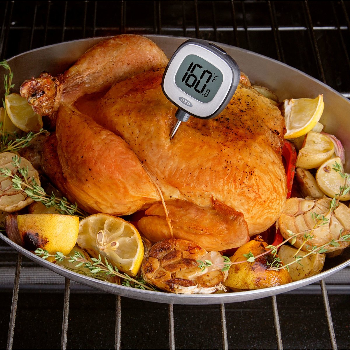 Chef's precision digital instant read