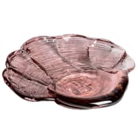 Venus Clam fad