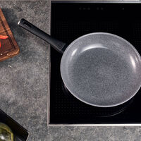 Terreno Plus stekepanne 20 cm, aluminium