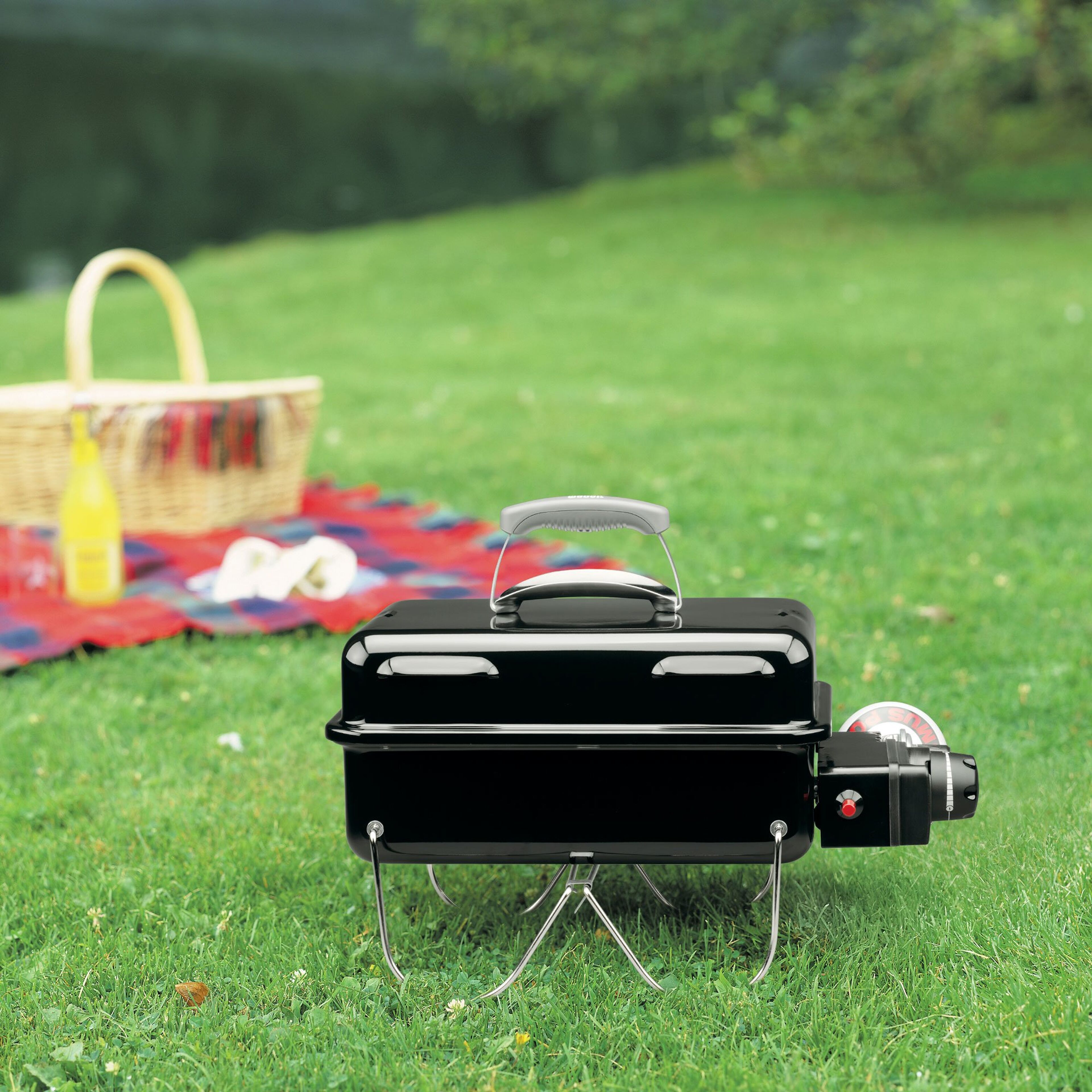 weber-go-anywhere-baerbar-gasgrill-1141068-37718-6