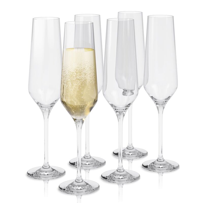 Samppanjalasi Legio Nova 6 kpl