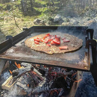 Grillplate med høye kanter