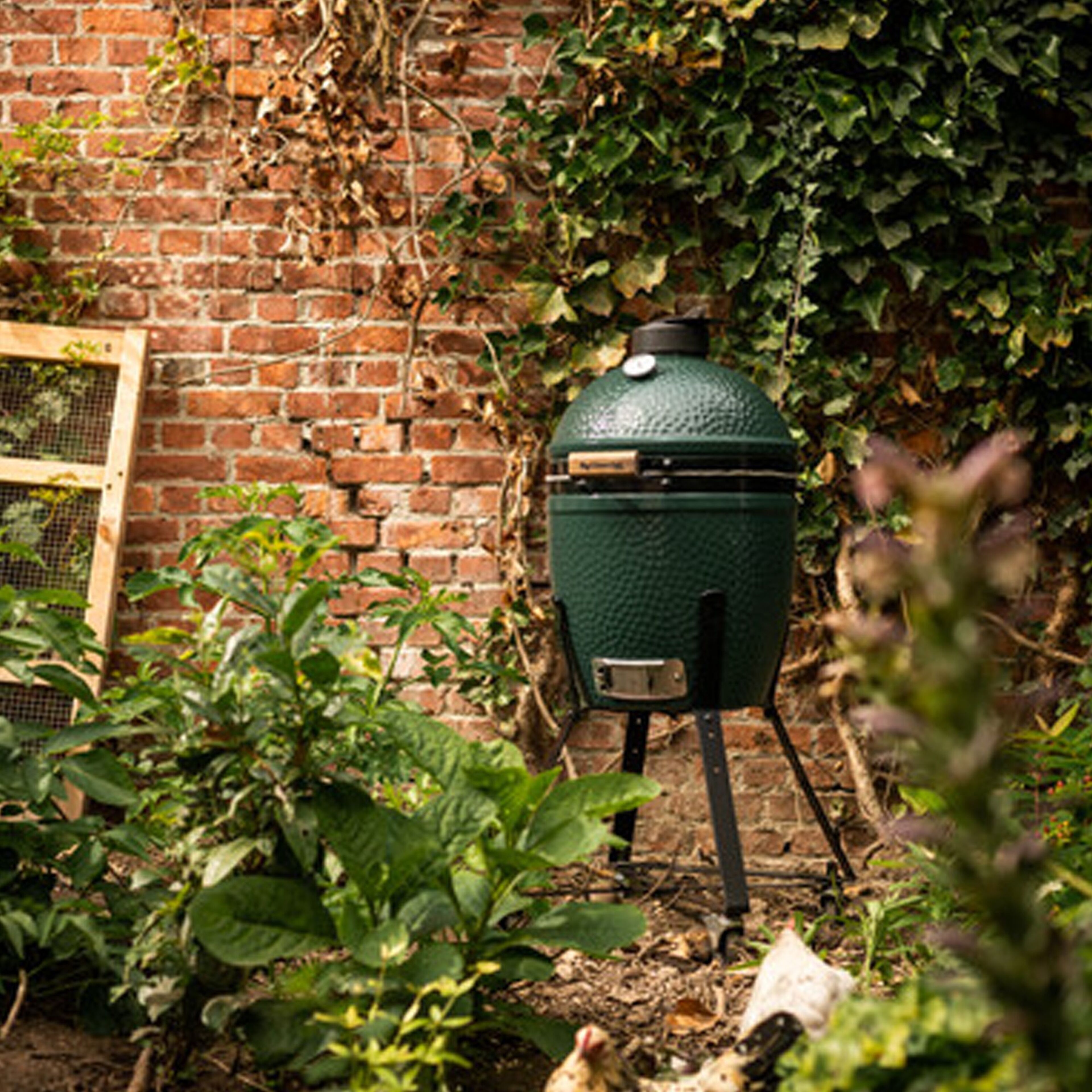 big-green-egg-nest-understel-small-301062-35338-3