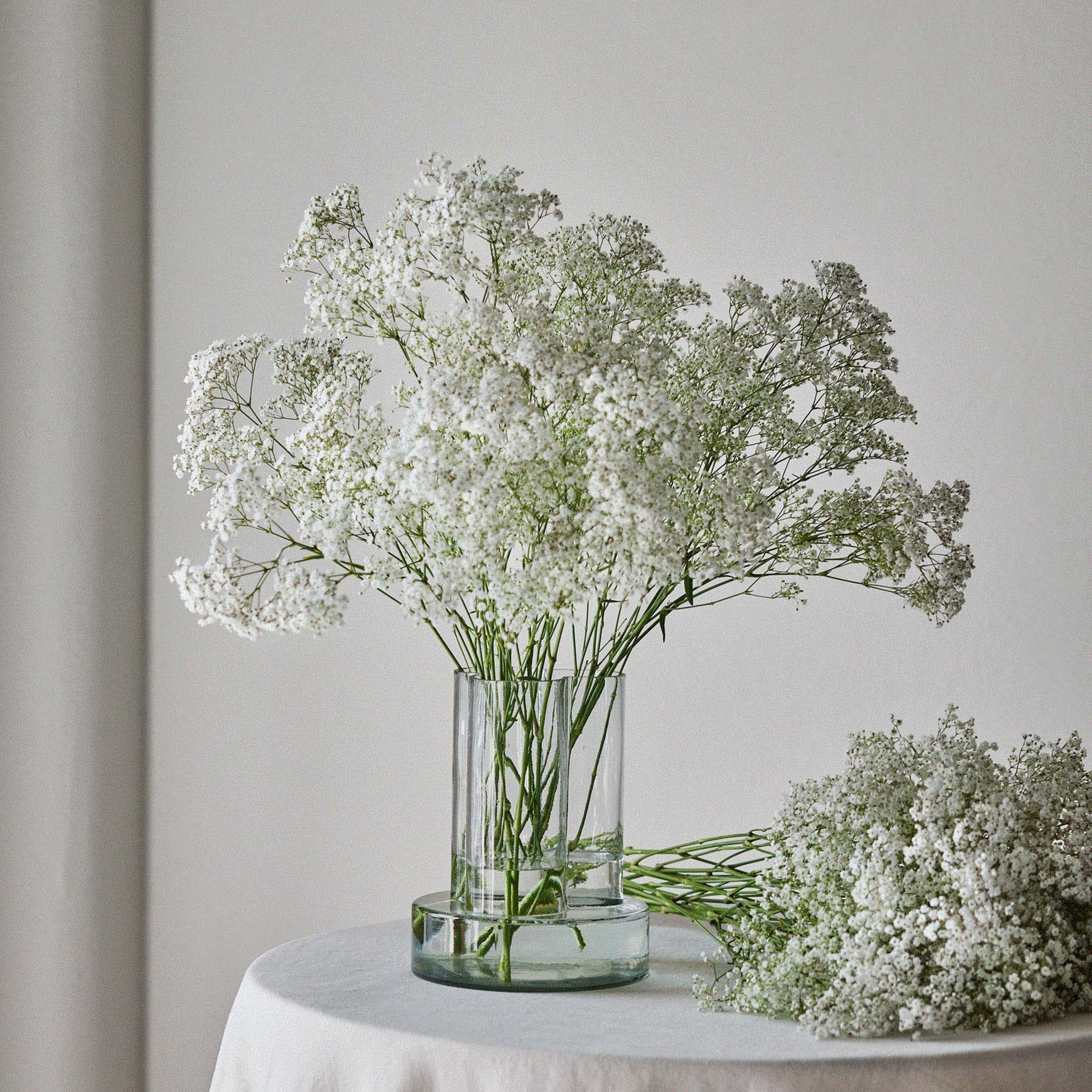 tell-me-more-5097-62791-2