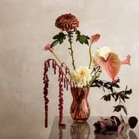 Calabas vas, 21 cm, burgundy