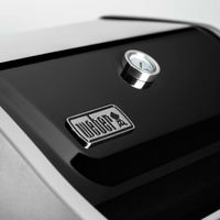 Spirit II E-310 GBS Gassgrill