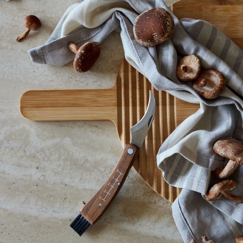 Svampkniv med fodral