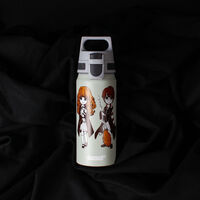 SIGG Warner Bros WMB ONE pullo 0,6 litraa, Stand Together
