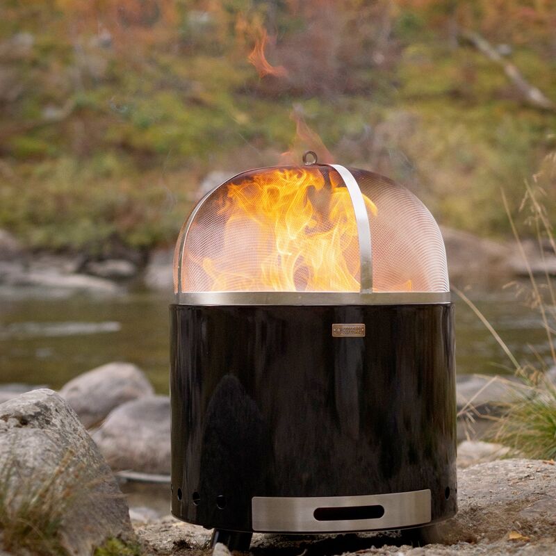 Pilar 50 tulipata, musta