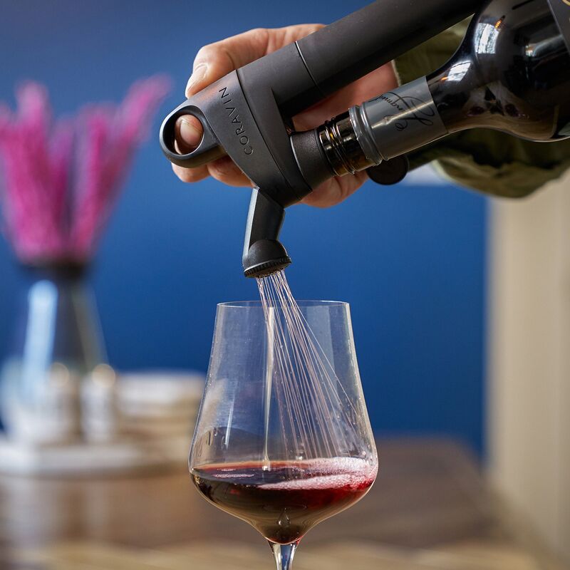 Pivot Aerator vinilter