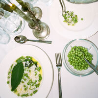 Grand Cru Aterinsetti, 16 osaa