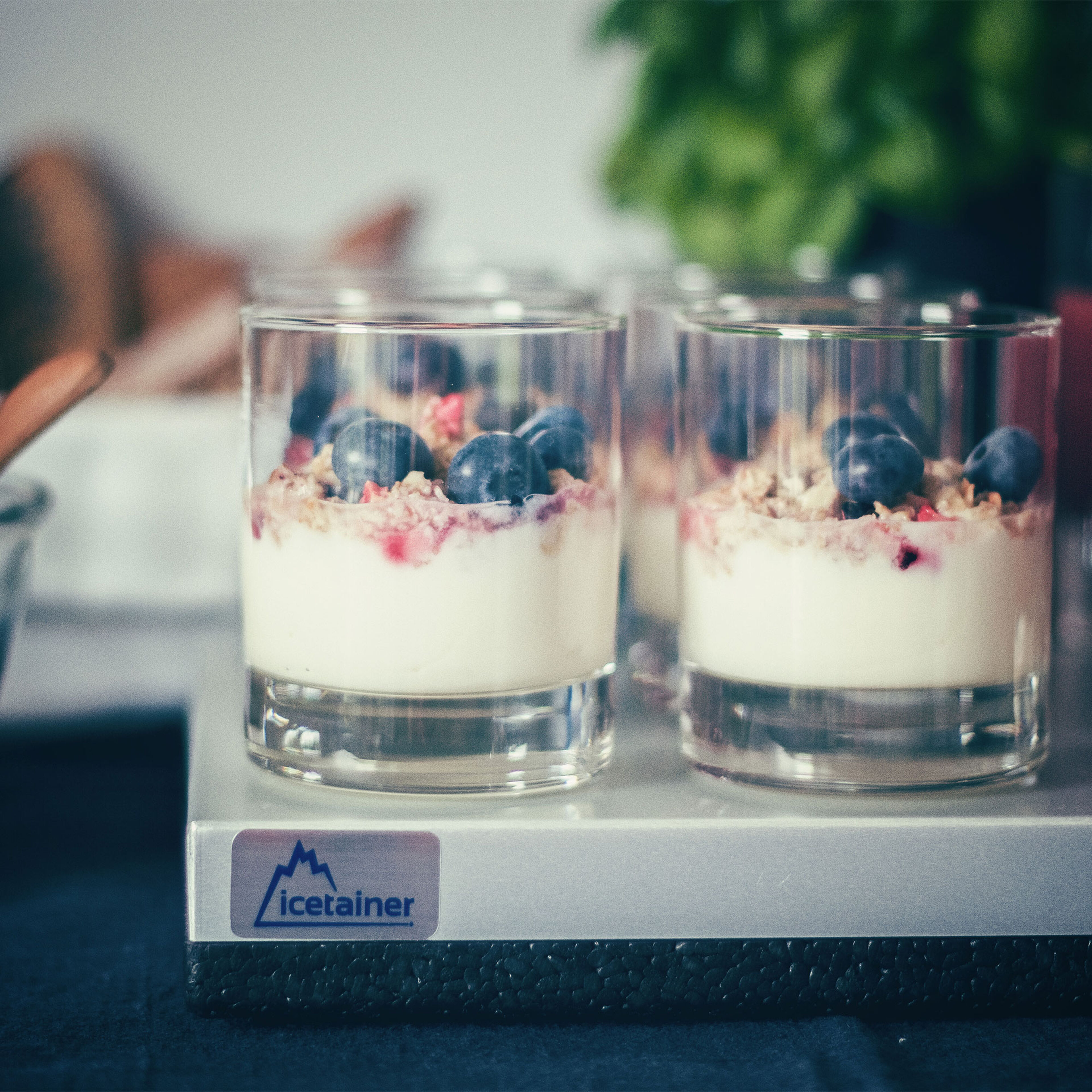 Lock till kylbricka 32 x 26 cm