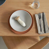Rosenthal Thomas Clay lautanen 22 cm, rock
