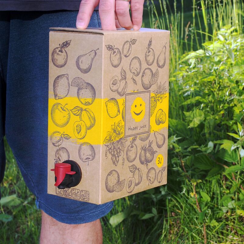 Bag In Box -pussi hanalla 3 litraa, 4-pakkaus